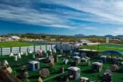 El Paso Paintball in El Paso, Texas| Battleonix