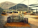 Combat Zone Paintball Inc in Las Vegas, Nevada| Battleonix