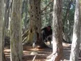 TNT Paintball in Victoria, British Columbia, Canada| Battleonix