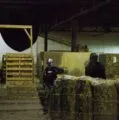 Taktik Airsoft in Montreal, Quebec, Canada| Battleonix