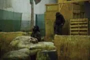 Taktik Airsoft in Montreal, Quebec, Canada| Battleonix