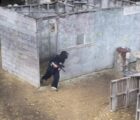 Xtream Paintball in Saint Nicolas, QC, Canada| Battleonix