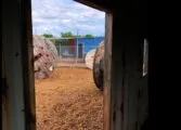 Hypersportz Paintball in Mount Uniacke, NS, Canada| Battleonix