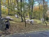 Outdoor Laser Tag, USA in Mount Kisco, NY, USA| Battleonix