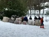 Outdoor Laser Tag, USA in Mount Kisco, NY, USA| Battleonix