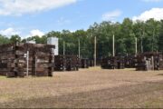 Pinnacle Paintball Park & Airsoft in Malaga, NJ| Battleonix