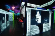 Shenaniganz Entertainment Center in Rockwall, TX| Battleonix