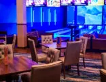 Spare Time in Greensboro, NC| Battleonix
