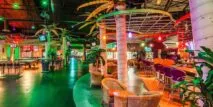 Coconut Bowl at Wild Island in Sparks, NV| Battleonix