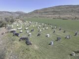Action Center Paintball Outdoor field in Mountain Green, UT | Battleonix