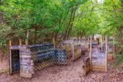 Tennessee Mountain Paintball in Sevierville, TN| Battleonix