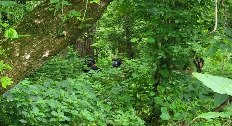 Clear Creek Paintball