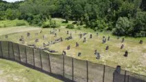 Albany Paintball Experience in Nassau, NY| Battleonix