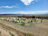 Diamond Paintball in Billings, MT| Battleonix