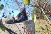 Top City Airsoft in Topeka, KS| Battleonix
