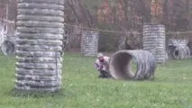 Legacy Paintball & Airsoft Park in Morrisonville, NY |Battleonix